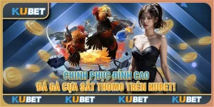 Chinh Phục Đỉnh Cao: Đá Gà Cựa Sắt Thomo trên Kubet!