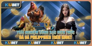 Trải nghiệm sòng bạc đích thực: Đá gà Philippines trên Kubet