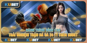 Hành trình đỉnh cao: Trải nghiệm trận Đá Gà 24 Tỷ trên Kubet