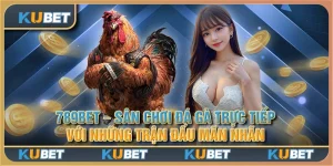 789Bet - Sân chơi đá gà trực tiếp với những trận đấu mãn nhãn